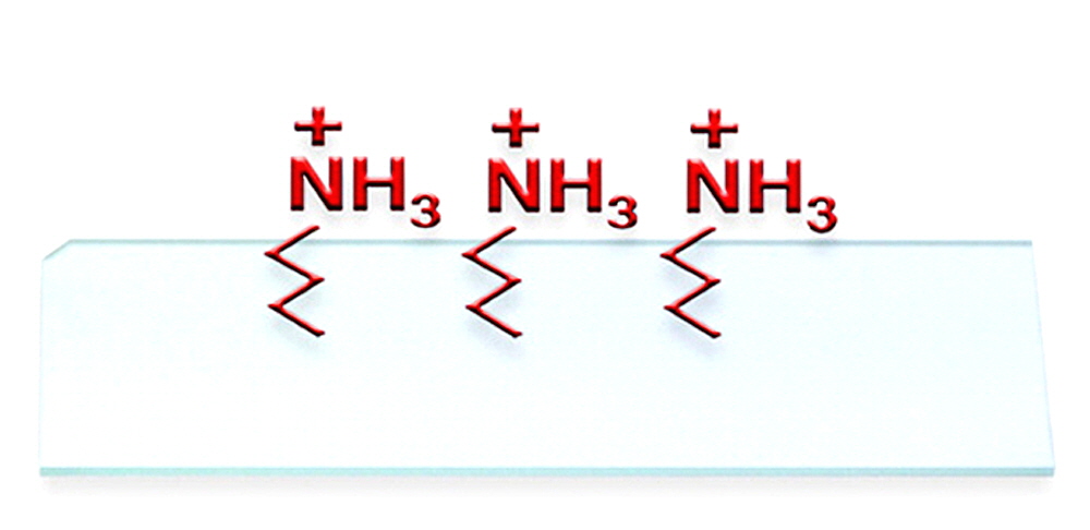 Arrayit-SuperAmine