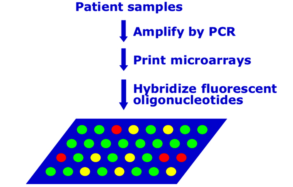 Arrayit_patents