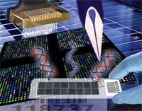 CGH-microarray