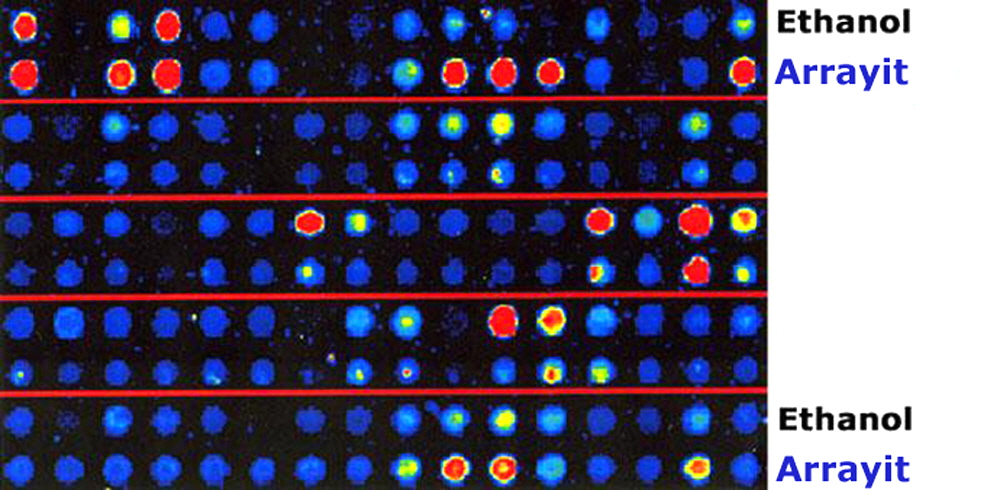 PCR_purification_kit