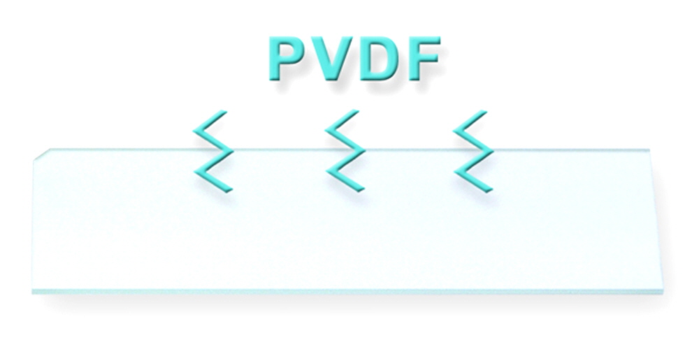 PVDF-microarray-slide