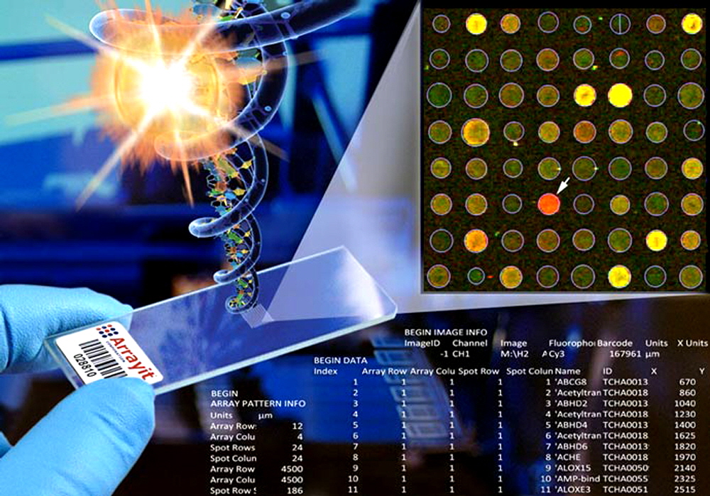 Pathway-Microarray