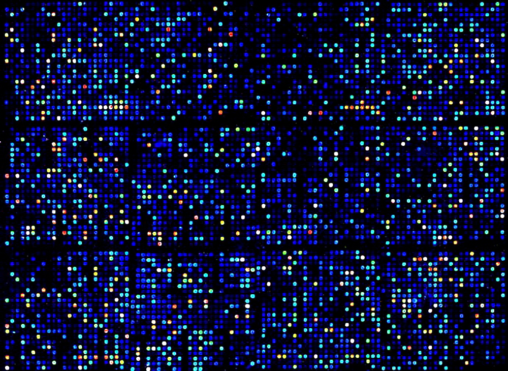 RNA-amplification