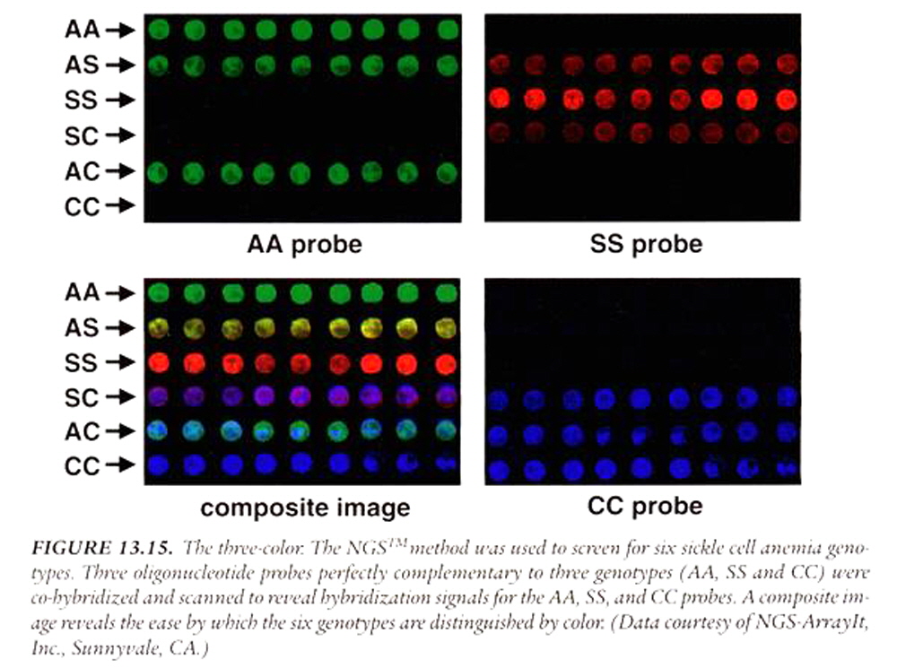 Schena-Microarray-Textbook