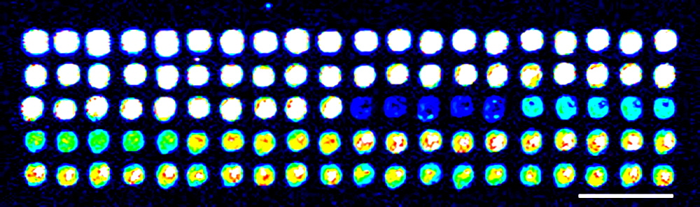 SpotBot®3_DNA_Microarray
