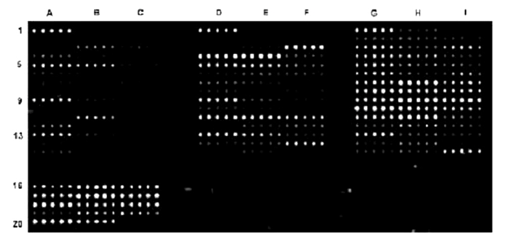 colorimetric microarray