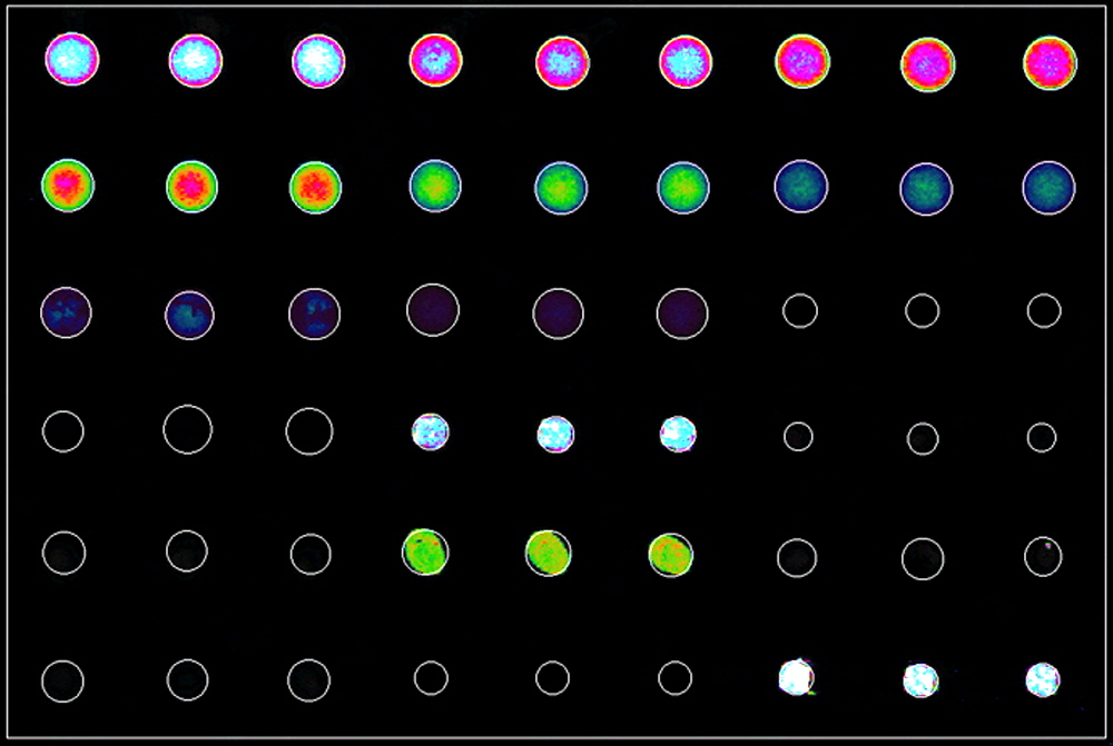 data-quantification