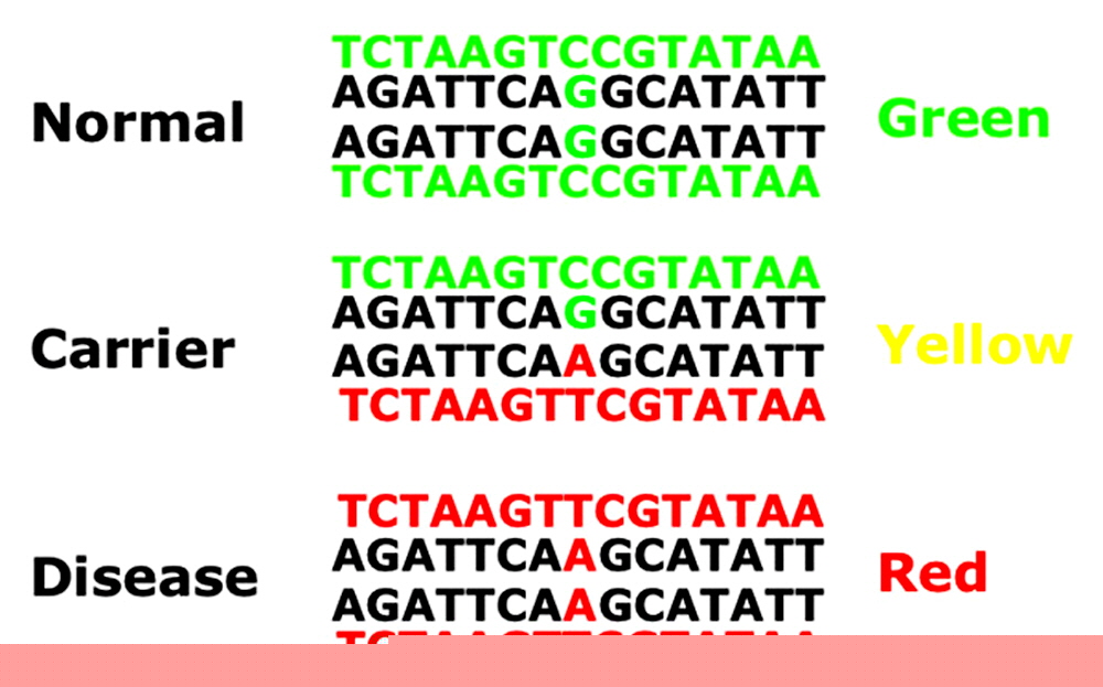 disease_carriers
