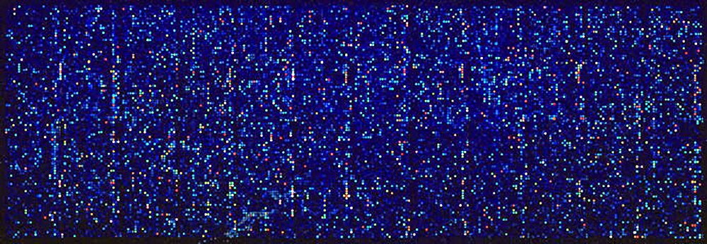 human_genome_microarrays