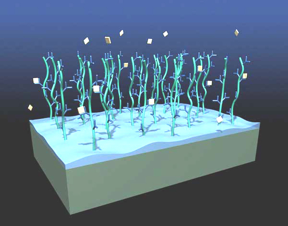 hydrogel_microarray