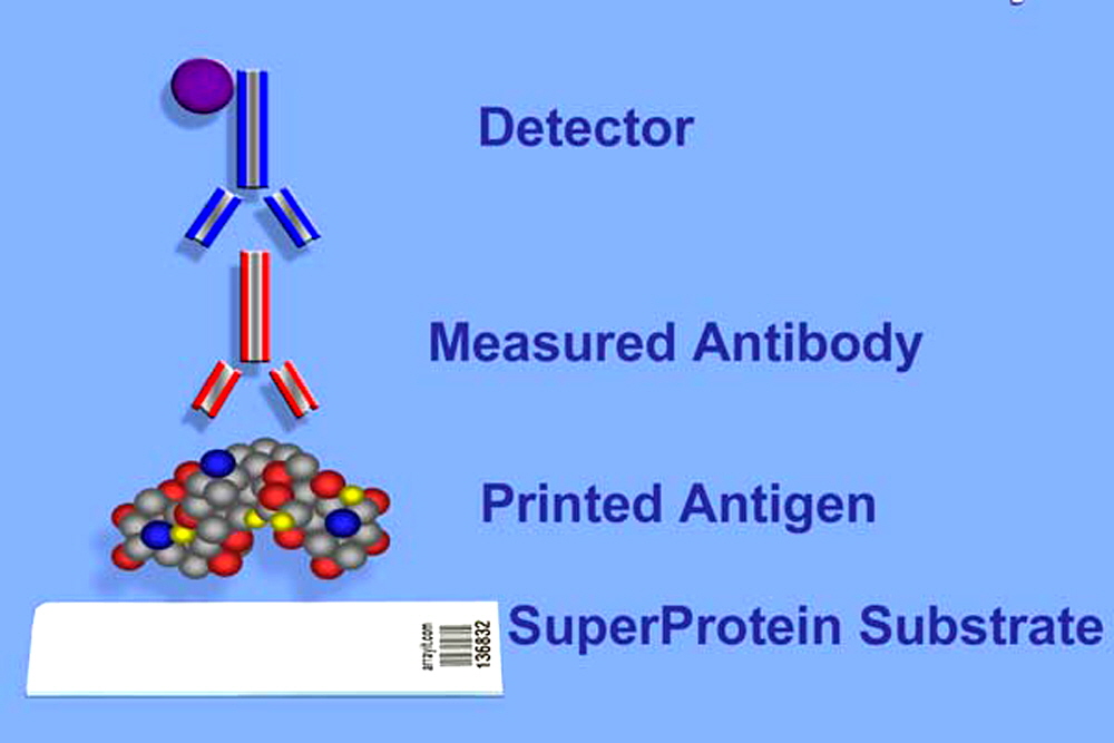 microarray-PVDF