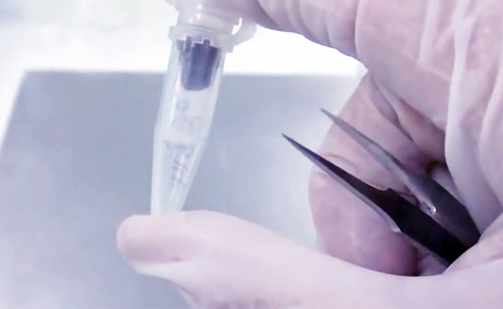 microarray-blood-kit