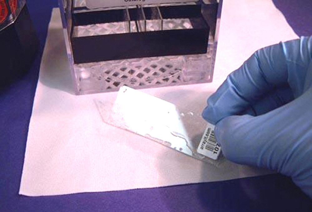 microarray centrifugation
