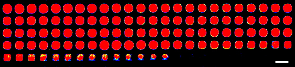 microarray-dispensing