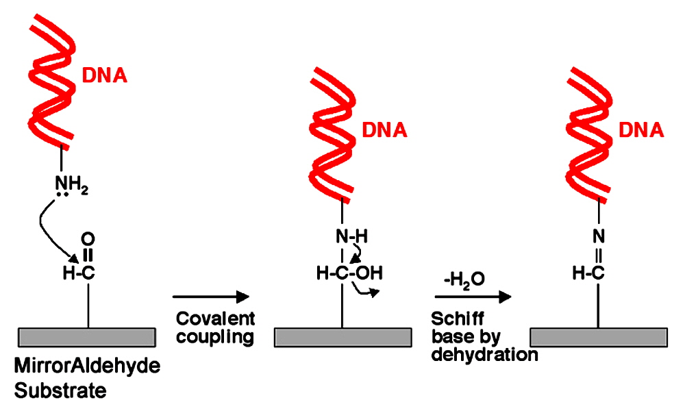 microarray-mirror-aldehyde