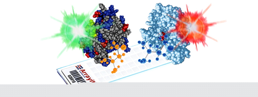 microarray-peptide
