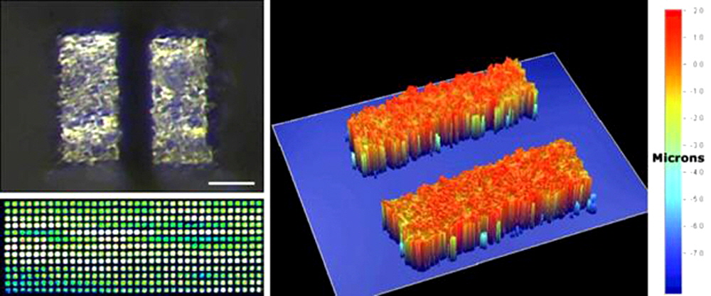 microarray-pin-tips