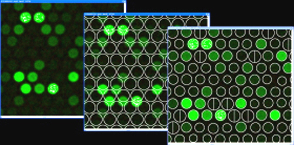 microarray-quantification