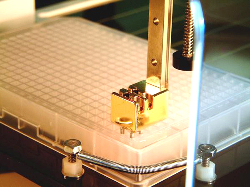 microarray-samples