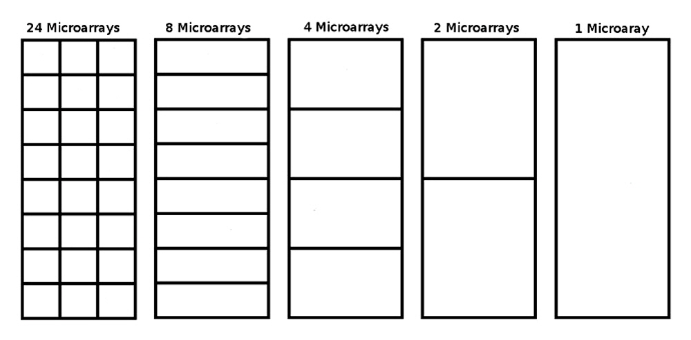 microarray_formats