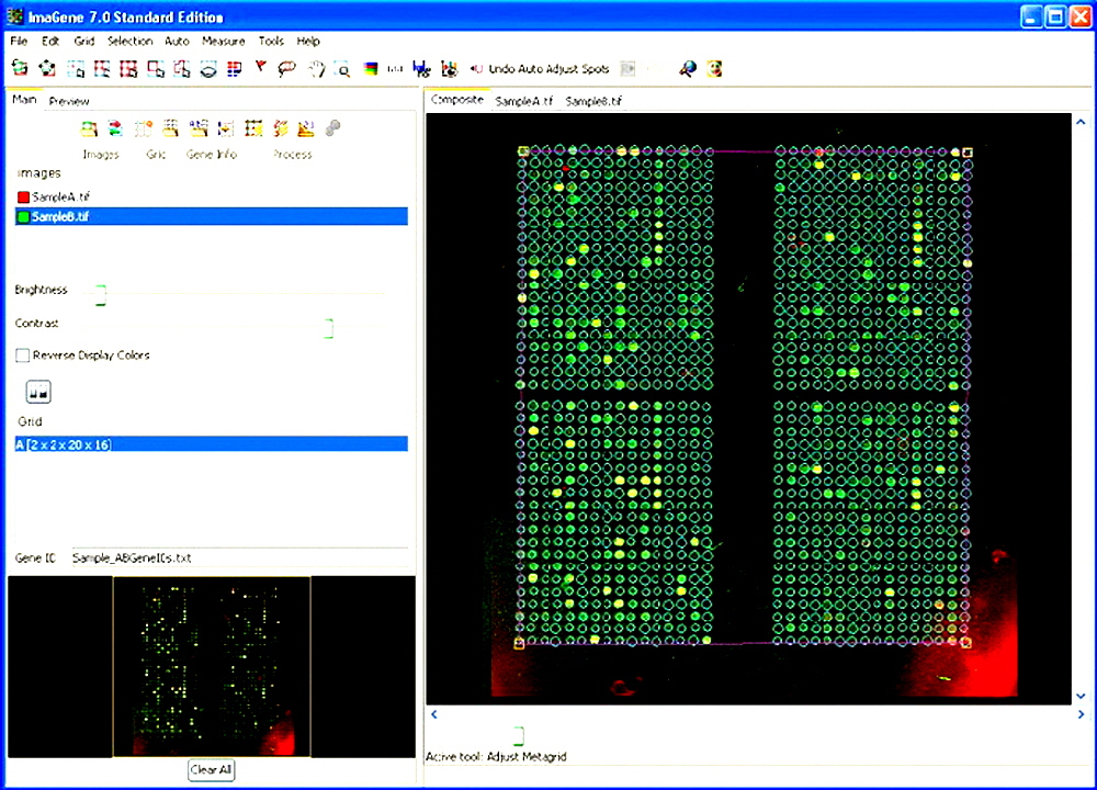 microarray_quantification