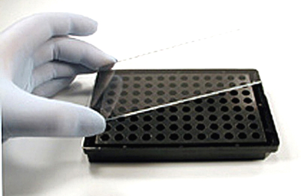 microplates-glass