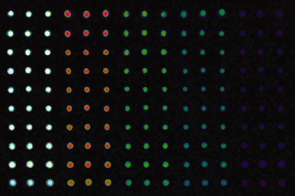 multiplex-ELISA