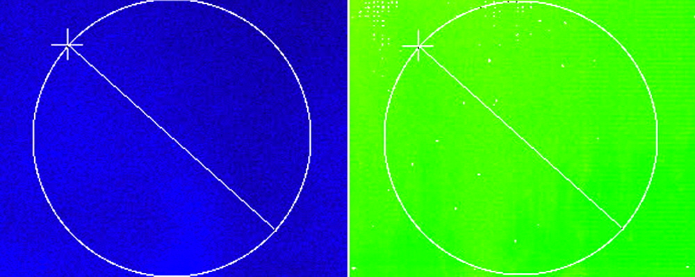 nitrocellulose microarray
