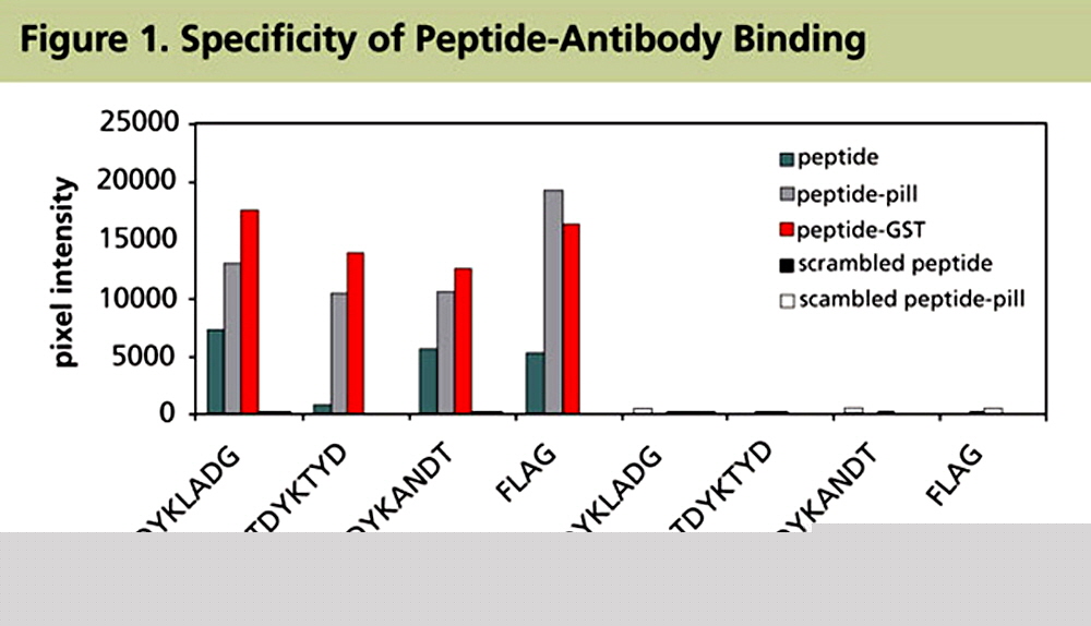 peptide microarrays