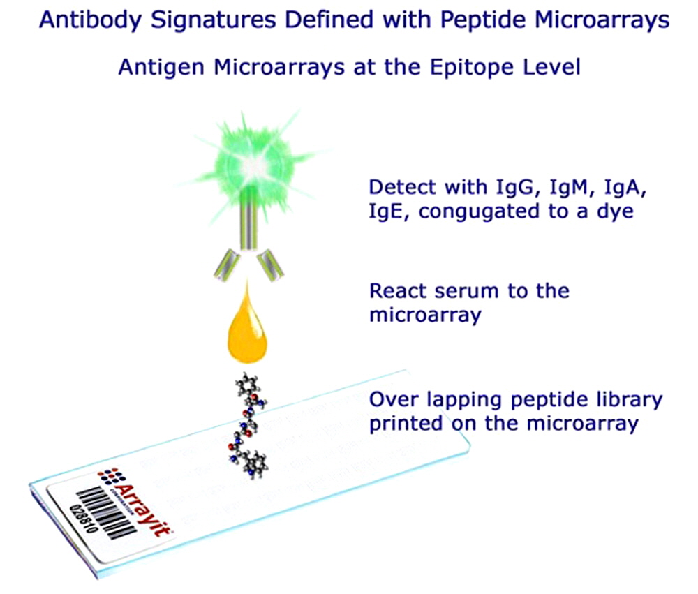 peptides
