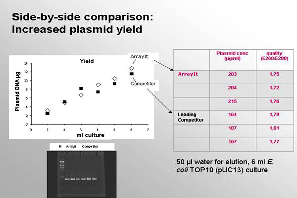 plasmid-DNA-purification