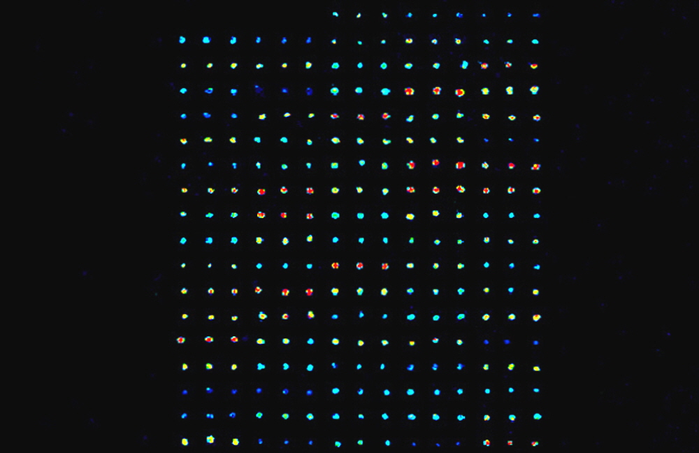 protein-microarray-buffers