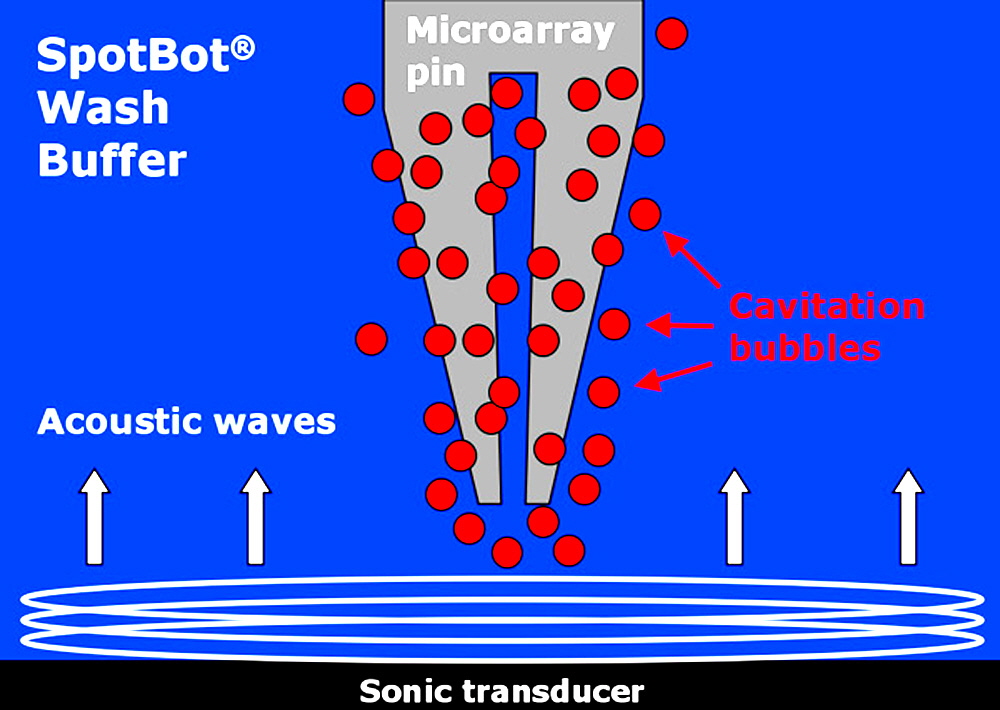 spotbot-wash-buffer